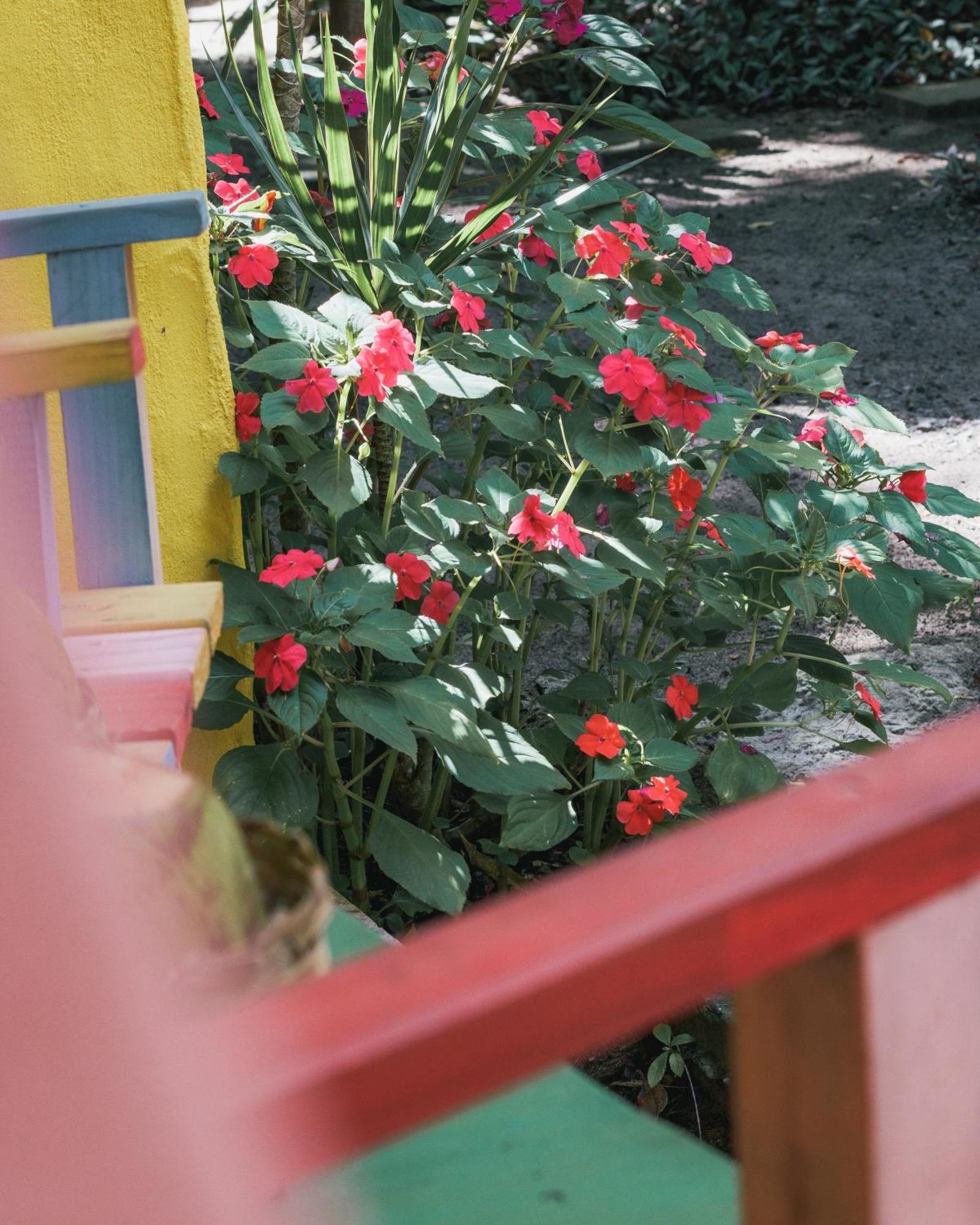Отель Butterfly House Bahia Марау Экстерьер фото